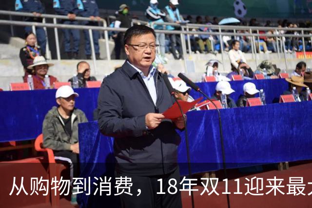 从购物到消费，18年双11迎来最大一次跃迁