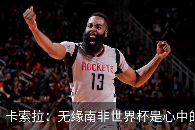 卡索拉：无缘南非世界杯是心中的刺
